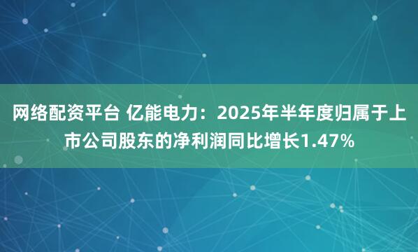 网络配资平台 亿能电力：2025年半年度归属于上市公司股东的净利润同比增长1.47%