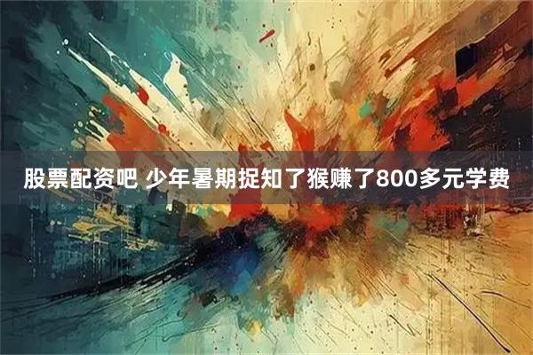 股票配资吧 少年暑期捉知了猴赚了800多元学费