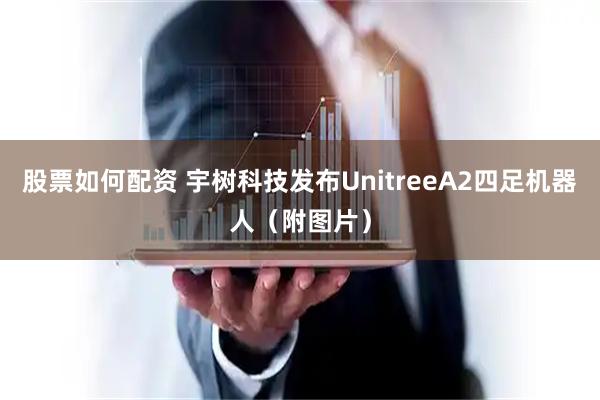 股票如何配资 宇树科技发布UnitreeA2四足机器人（附图片）
